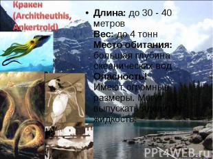 Длина: до 30 - 40 метров Вес: до 4 тонн Место обитания: большая глубина океаниче