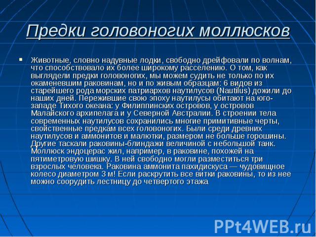 Животные, словно надувные лодки, свободно дрейфовали по волнам, что способствовало их более широкому расселению. О том, как выглядели предки головоногих, мы можем судить не только по их окаменевшим раковинам, но и по живым образцам: 6 видов из старе…