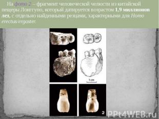 На фото 2 – фрагмент человеческой челюсти из китайской пещеры Лонггупо, который