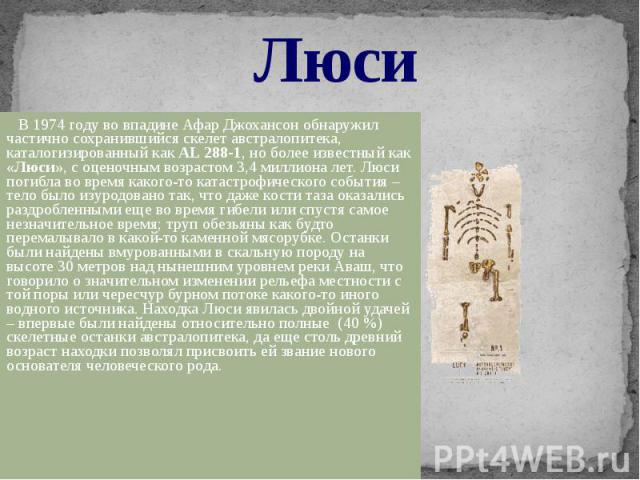 Люси В 1974 году во впадине Афар Джохансон обнаружил частично сохранившийся скелет австралопитека, каталогизированный как AL 288-1, но более известный как «Люси», с оценочным возрастом 3,4 миллиона лет. Люси погибла во время какого-то катастрофическ…