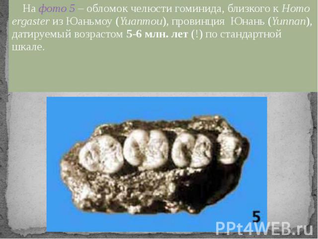 На фото 5 – обломок челюсти гоминида, близкого к Homo ergaster из Юаньмоу (Yuanmou), провинция  Юнань (Yunnan), датируемый возрастом 5-6 млн. лет (!) по стандартной шкале.