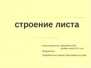 строение листа Учитель биологии Дворядкина В.Н. средняя школа №4 села Петровског