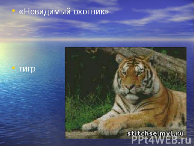 «Невидимый охотник» тигр