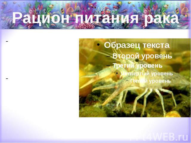 Рацион питания рака это, в основном, пища растительного происхождения. Иногда раки едят всякую живность, которая водится в их водоеме.