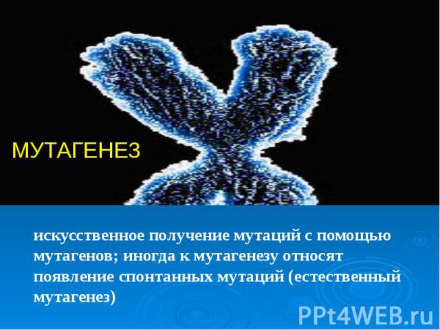 искусственное получение мутаций с помощью мутагенов; иногда к мутагенезу относят появление спонтанных мутаций (естественный мутагенез)