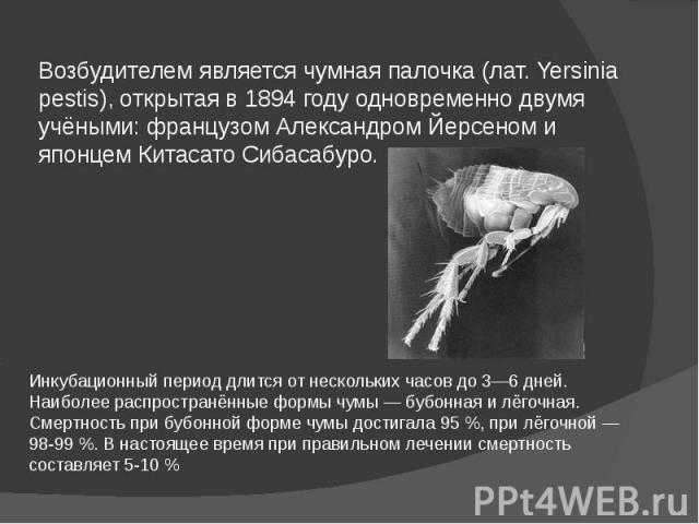 Возбудителем является чумная палочка (лат. Yersinia pestis), открытая в 1894 году одновременно двумя учёными: французом Александром Йерсеном и японцем Китасато Сибасабуро.