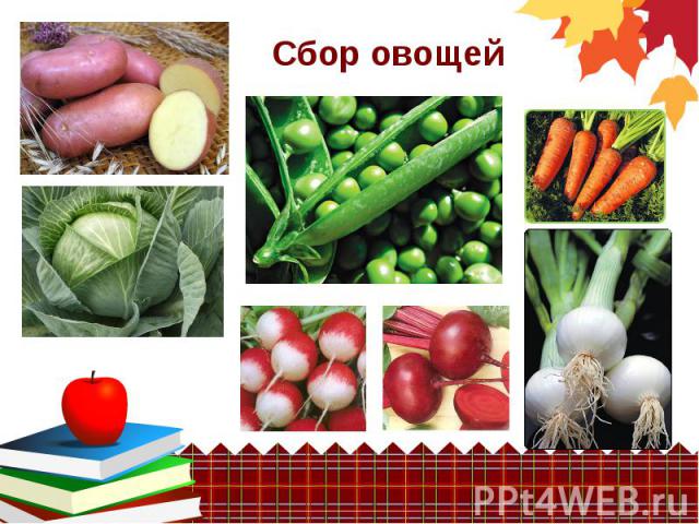Сбор овощей