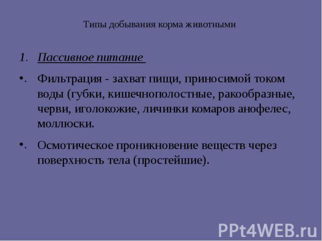 Типы добывания корма животными Пассивное питание Фильтрация - захват пищи, приносимой током воды (губки, кишечнополостные, ракообразные, черви, иголокожие, личинки комаров анофелес, моллюски. Осмотическое проникновение веществ через поверхность тела…