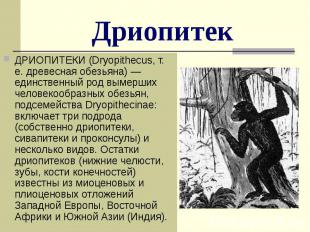 Дриопитек ДРИОПИТЕКИ (Dryopithecus, т. е. древесная обезьяна) — единственный род
