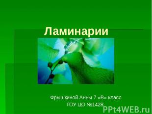 Ламинарии Фрышкиной Анны 7 «В» класс ГОУ ЦО №1428.