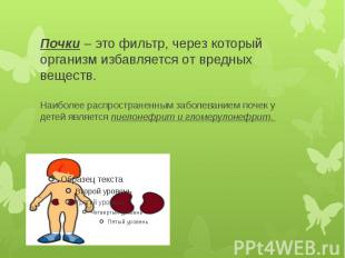 Почки&nbsp;– это фильтр, через который организм избавляется от вредных веществ.