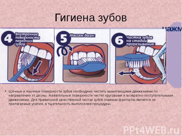Гигиена зубов Щёчные и язычные поверхности зубов необходимо чистить выметающими движениями по направлению от десны. Жевательные поверхности чистят круговыми и возвратно-поступательными движениями. Для правильной качественной чистки зубов главным фак…