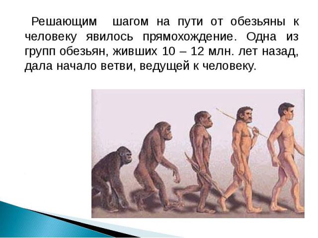 Решающим шагом на пути от обезьяны к человеку явилось прямохождение. Одна из групп обезьян, живших 10 – 12 млн. лет назад, дала начало ветви, ведущей к человеку. Решающим шагом на пути от обезьяны к человеку явилось прямохождение. Одна из групп обез…