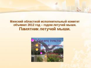 Минский областной исполнительный комитет объявил 2012 год – годом летучей мыши.