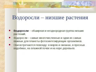 Водоросли – обширная и неоднородная группа низших растений. Водоросли – обширная