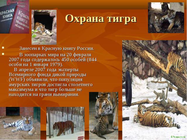 Занесен в Красную книгу России. Занесен в Красную книгу России. В зоопарках мира на 20 февраля 2007 года содержалось 450 особей (844 особи на 1 января 1979). В апреле 2007 года эксперты Всемирного фонда дикой природы (WWF) объявили, что популяция ам…