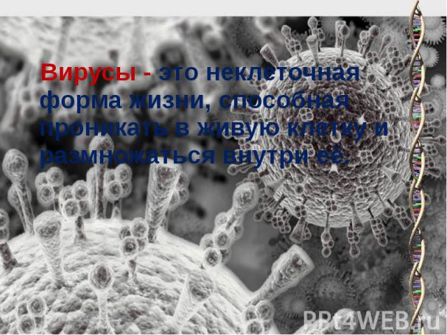 Вирусы - это неклеточная форма жизни, способная проникать в живую клетку и размножаться внутри её. Вирусы - это неклеточная форма жизни, способная проникать в живую клетку и размножаться внутри её.