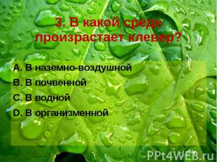 3. В какой среде произрастает клевер? В наземно-воздушной В почвенной В водной В