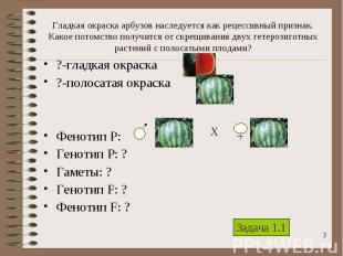 ?-гладкая окраска ?-гладкая окраска ?-полосатая окраска Фенотип Р: Генотип Р: ?