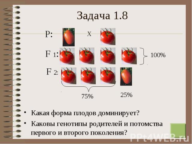 Какая форма плодов доминирует? Какая форма плодов доминирует? Каковы генотипы родителей и потомства первого и второго поколения?