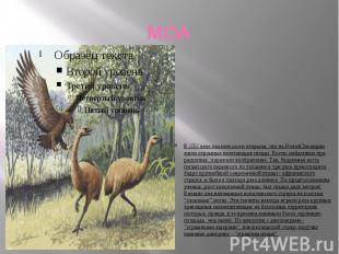 МОА В XIX веке палеонтологи открыли, что на Новой Зеландии жили огромные нелетаю