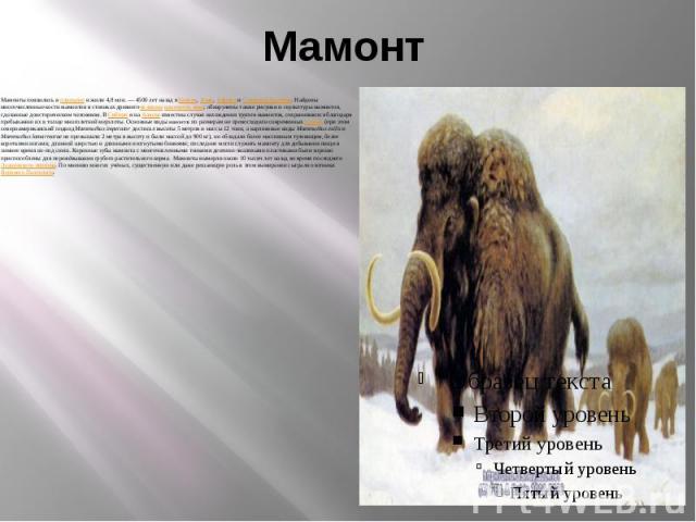 Мамонт Мамонты появились в плиоцене и жили 4,8 млн. — 4500 лет назад в Европе, Азии, Африке и Северной Америке. Найдены многочисленные кости мамонтов в стоянках древнего человека каменного века; обнаружены также рисунки и скульптуры мамонт…