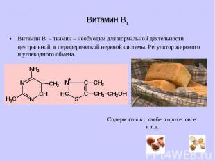 Витамин B1 – тиамин – необходим для нормальной деятельности центральной и перефе