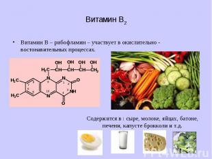 Витамин В – рибофламин – участвует в окислительно - востонавительных процессах.