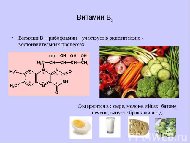 Витамин В – рибофламин – участвует в окислительно - востонавительных процессах. Витамин В – рибофламин – участвует в окислительно - востонавительных процессах.