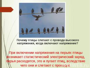Почему птицы слетают с провода высокого напряжения, когда включают напряжение?