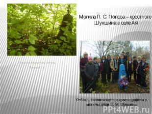 Первоначальный вид могилы Первоначальный вид могилы Попова П. С.