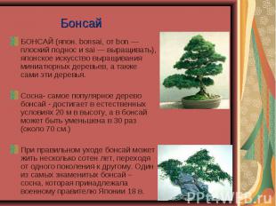 БОНСАЙ (япон. bonsai, от bon — плоский поднос и sai — выращивать), японское иску
