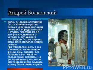 Князь Андрей Болконский был небольшого роста, весьма красивый молодой человек с