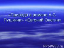 Природа в Евгении Онегине