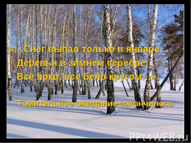 «…Снег выпал только в январе… Деревья в зимнем серебре… Все ярко, все бело кругом…» Томительное ожидание закончилось