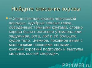 «Серая степная корова черкасской породы»; «добрые теплые глаза, обведенные темны