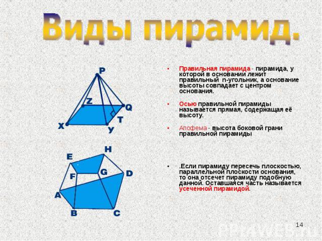 Правильная пирамида - пирамида, у которой в основании лежит правильный  n-угольник, а основание высоты совпадает с центром основания. Осью правильной пирамиды называется прямая, содержащая её высоту. Апофема - высота боковой грани правильной пи…