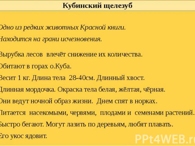 Кубинский щелезуб Одно из редких животных Красной книги. Находится на грани исчезновения. Вырубка лесов влечёт снижение их количества. Обитают в горах о.Куба. Весит 1 кг. Длина тела 28-40см. Длинный хвост. Длинная мордочка. Окраска тела белая, жёлта…