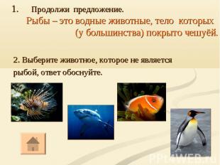 2. Выберите животное, которое не является рыбой, ответ обоснуйте.