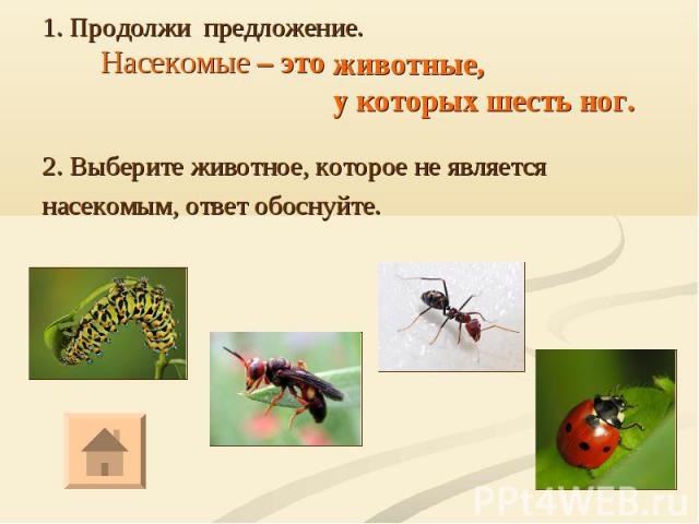 2. Выберите животное, которое не является насекомым, ответ обоснуйте.