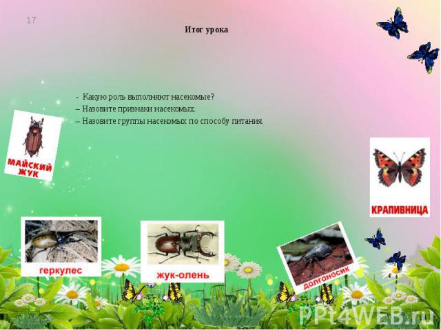 Итог урока - Какую роль выполняют насекомые? – Назовите признаки насекомых. – Назовите группы насекомых по способу питания.
