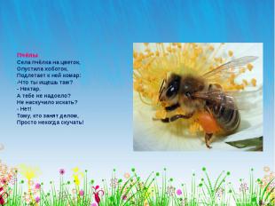 Пчёлы Села пчёлка на цветок, Опустила хоботок, Подлетает к ней комар: -Что ты ищ
