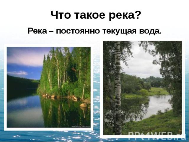 Отличие пруда от озера. Чем отличается река от пруда. От чем река отличается от озера. Глядь реки что такое. Книга река.