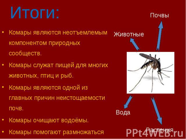 Комары являются неотъемлемым компонентом природных сообществ. Комары являются неотъемлемым компонентом природных сообществ. Комары служат пищей для многих животных, птиц и рыб. Комары являются одной из главных причин неистощаемости почв. Комары очищ…