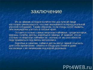 Из-за зимних холодов количество доступной пищи настолько уменьшается, что они ок