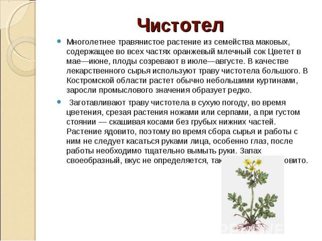 Многолетнее травянистое растение из семейства маковых, содержащее во всех частях оранжевый млечный сок Цветет в мае—июне, плоды созревают в июле—августе. В качестве лекарственного сырья используют траву чистотела большого. В Костромской области раст…