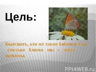 Цель: Выяснить, кто же такие бабочки и на сколько близко мы с ними знакомы.