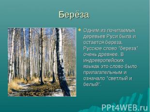 Одним из почитаемых деревьев Руси была и остается береза. Русское слово &quot;бе