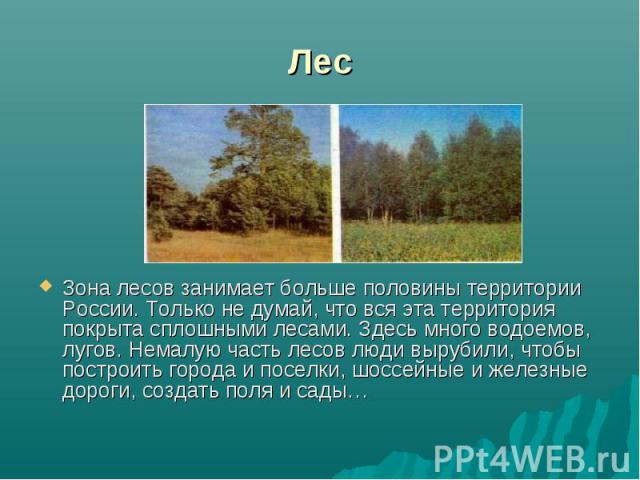 Зона лесов занимает больше половины территории России. Только не думай, что вся эта территория покрыта сплошными лесами. Здесь много водоемов, лугов. Немалую часть лесов люди вырубили, чтобы построить города и поселки, шоссейные и железные дороги, с…