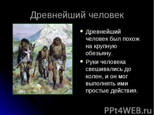 Древнейший человек был похож на крупную обезьяну. Древнейший человек был похож н